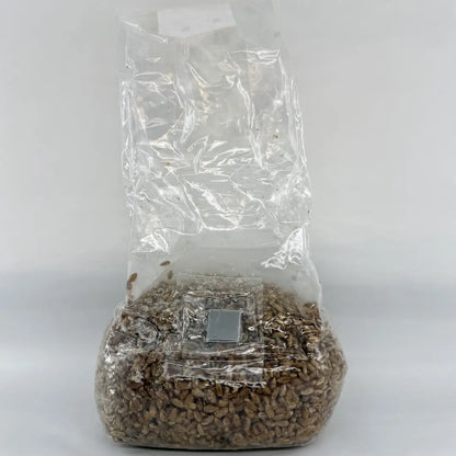 500g Organic Rye Pre-Sterilised Grain Substrate Bag Injection Port