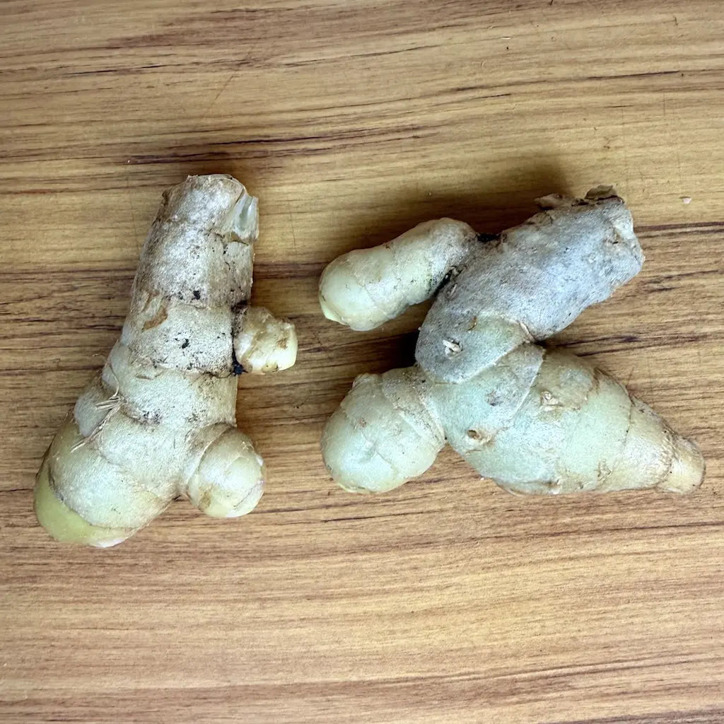 Black Turmeric Rhizomes – Curcuma caesia (Kali Haldi)