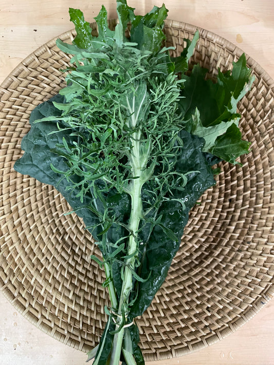 Kale - Organically Grown and No Spray - Kai Kai Farm