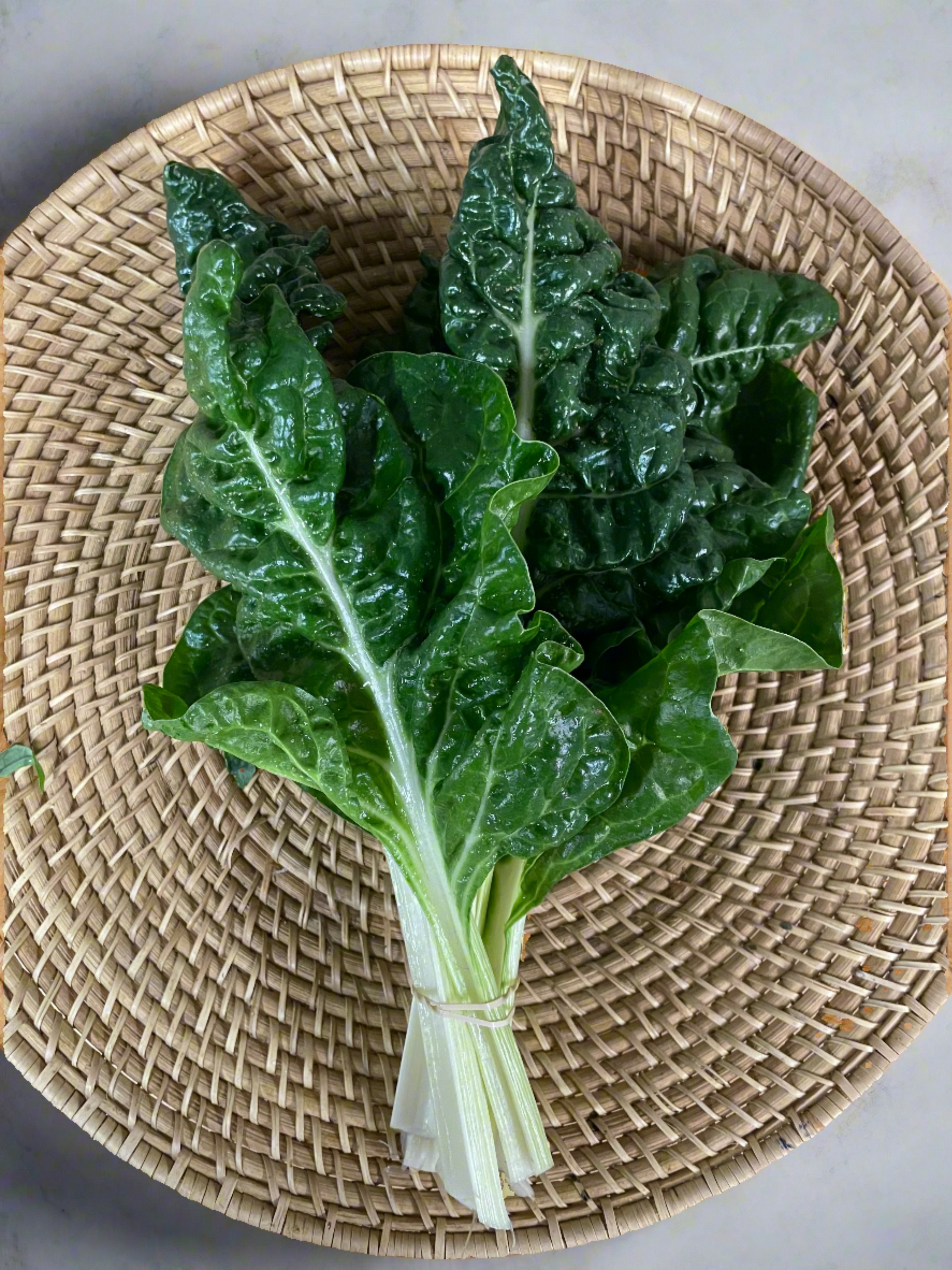 Silverbeet - Organically Grown and No Spray - Kai Kai Farm