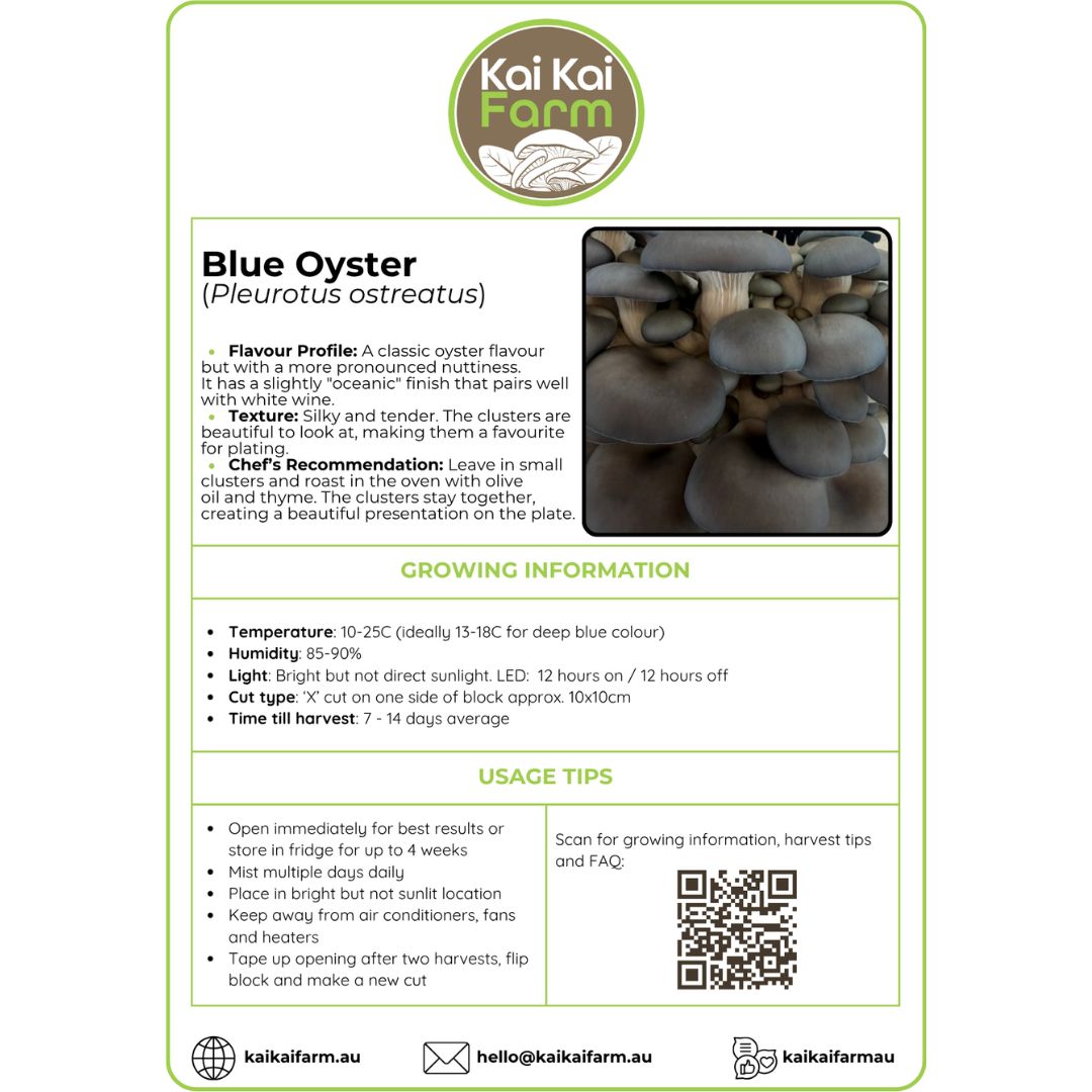 An informational product card for Kai Kai Farm Blue Oyster (Pleurotus ostreatus) showing flavor profile, texture, growing information, usage tips, and contact details on a white background with green borders.