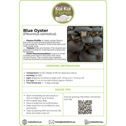 An informational product card for Kai Kai Farm Blue Oyster (Pleurotus ostreatus) showing flavor profile, texture, growing information, usage tips, and contact details on a white background with green borders.