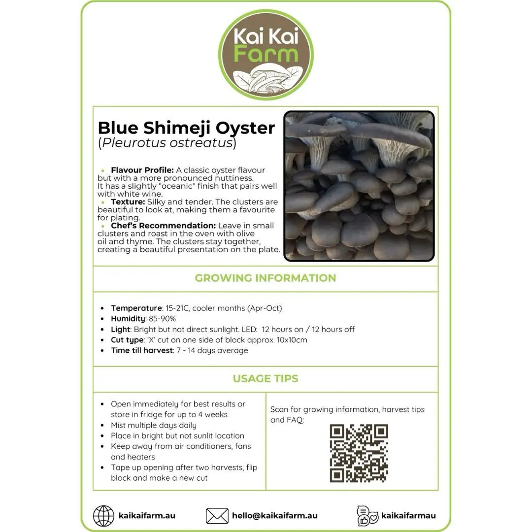 Blue Shimeji Oyster Mushroom Ready To Fruit Block Label