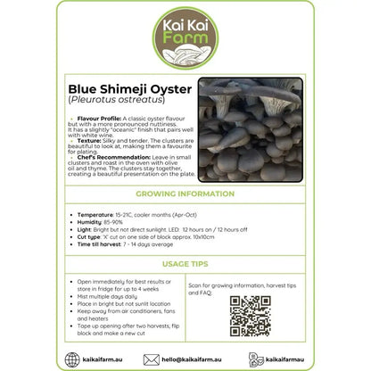 Blue Shimeji Oyster Mushroom Ready To Fruit Block Label