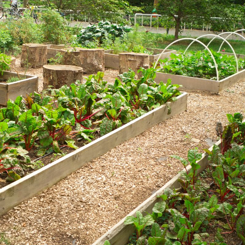 Kai Kai Farm's Bokashi Composting Collection