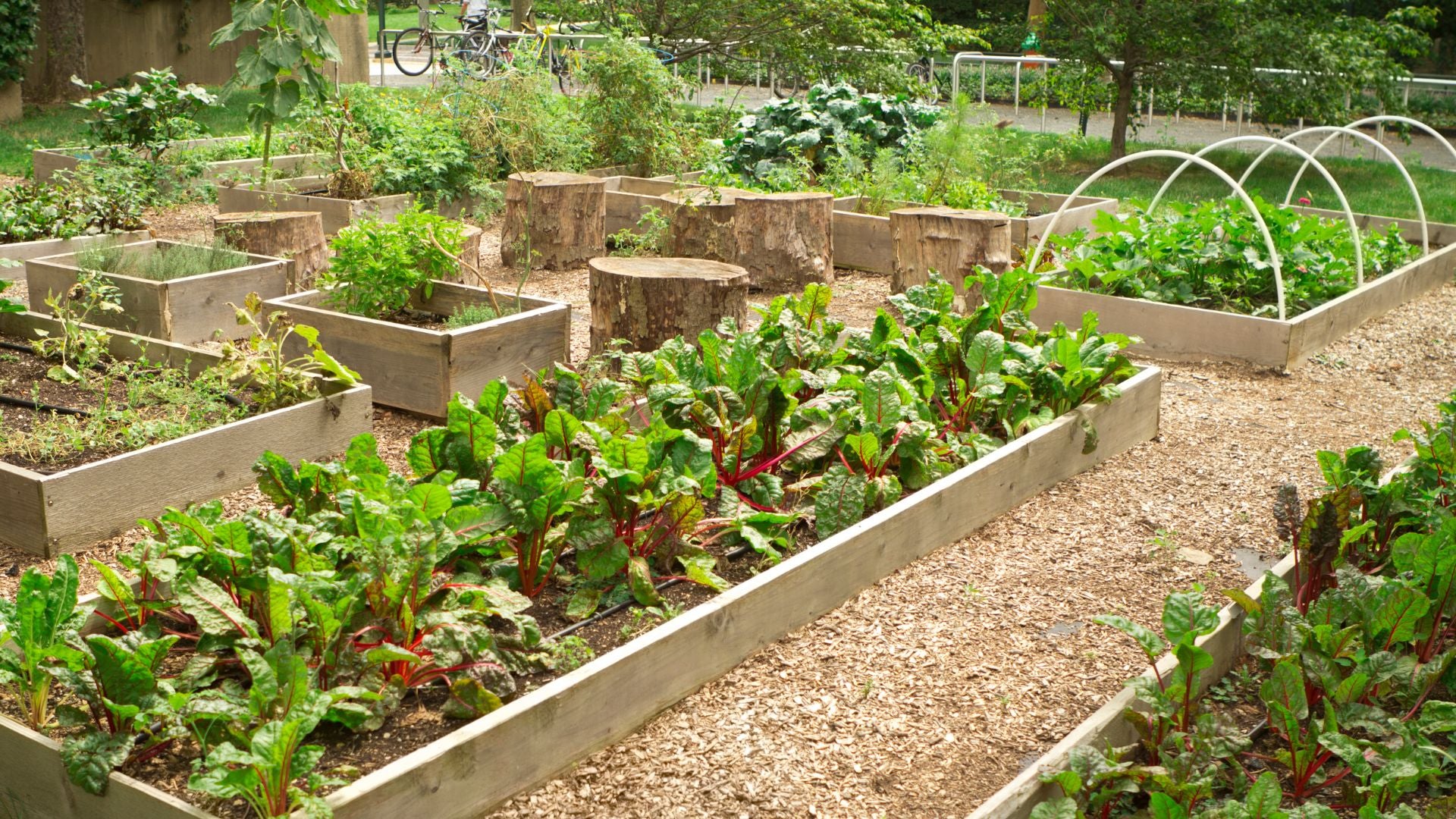 Kai Kai Farm's Bokashi Composting Collection
