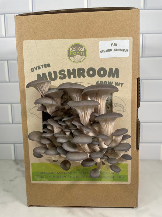 Silver Shimeji Oyster Mushroom Kit - Kai Kai Farm