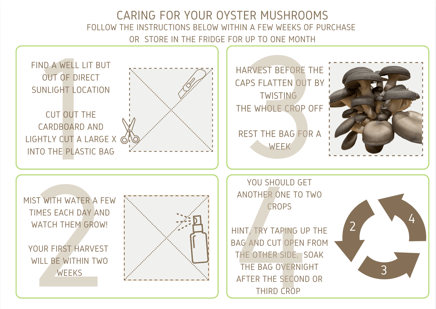 Instructions for caring for your Oyster mushroom grow kit card
