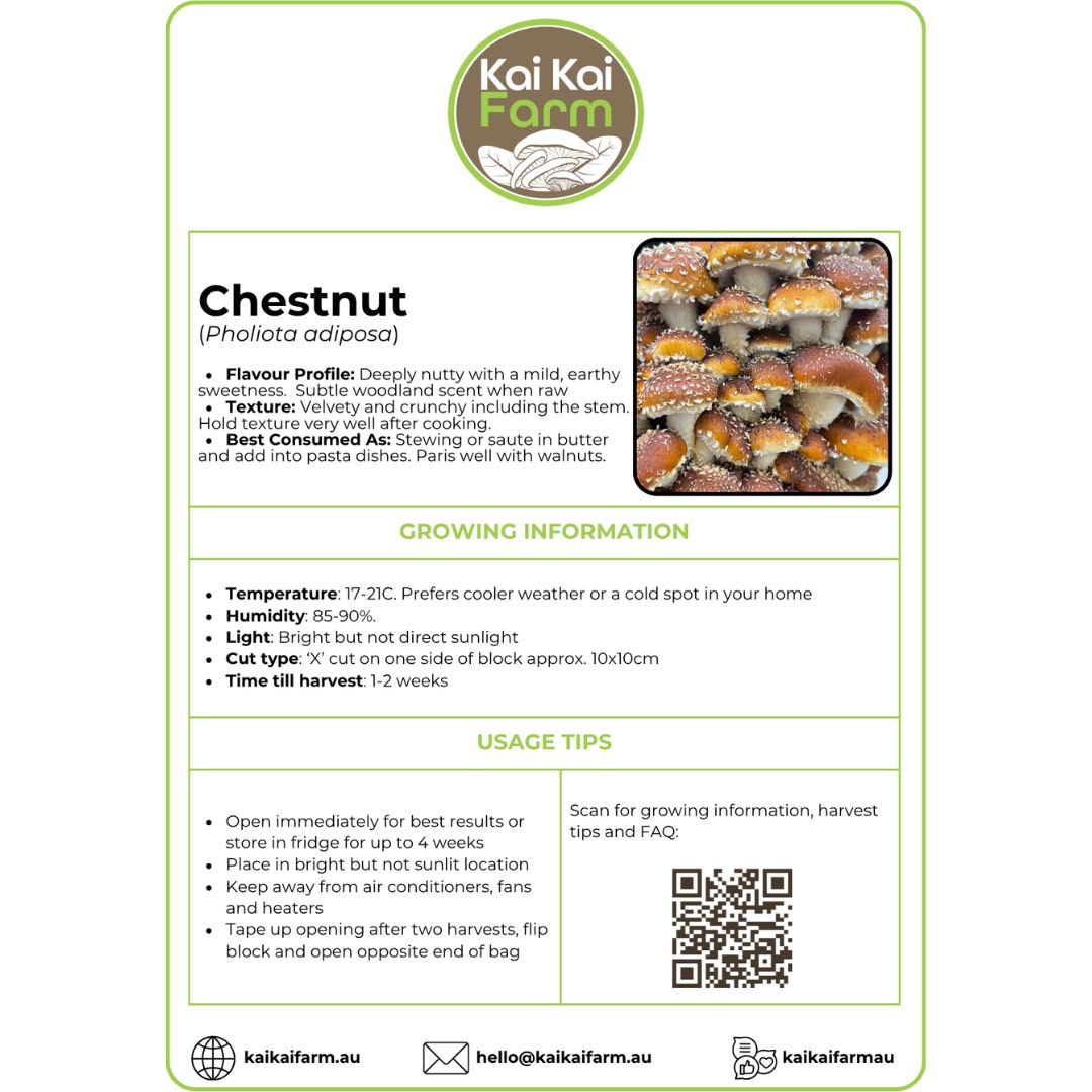 Chestnut Mushroom - 2.2KG Ready To Fruit Block