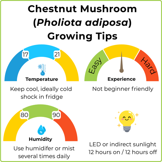 An infographic titled 'Chestnut Mushroom (Pholiota adiposa) Growing Tips' with four colored semi-circular gauges showing temperature, experience, humidity, and lighting recommendations for mushroom cultivation.
