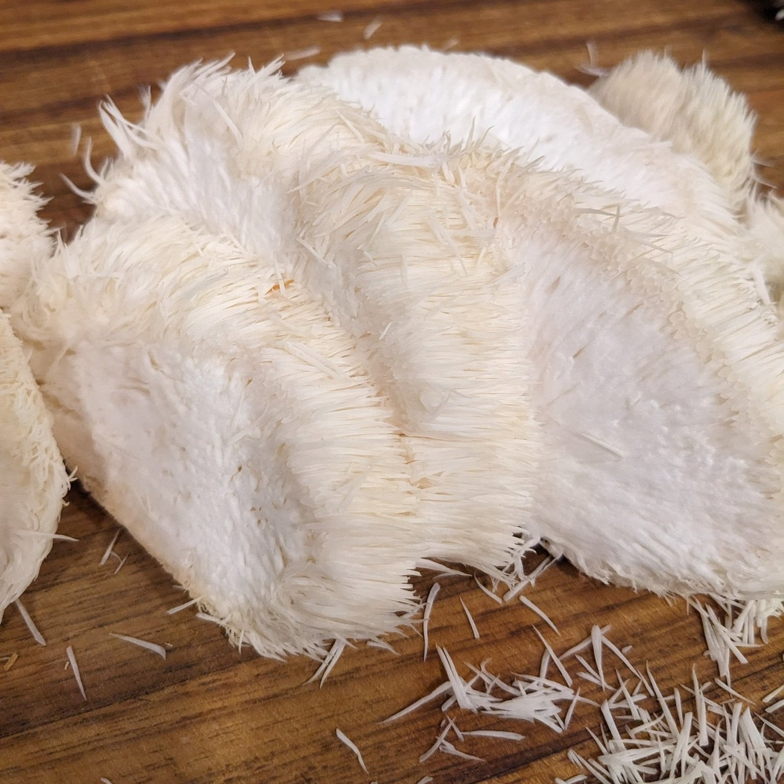 Lion's Mane chopped up ready for cooking mushroom steaks