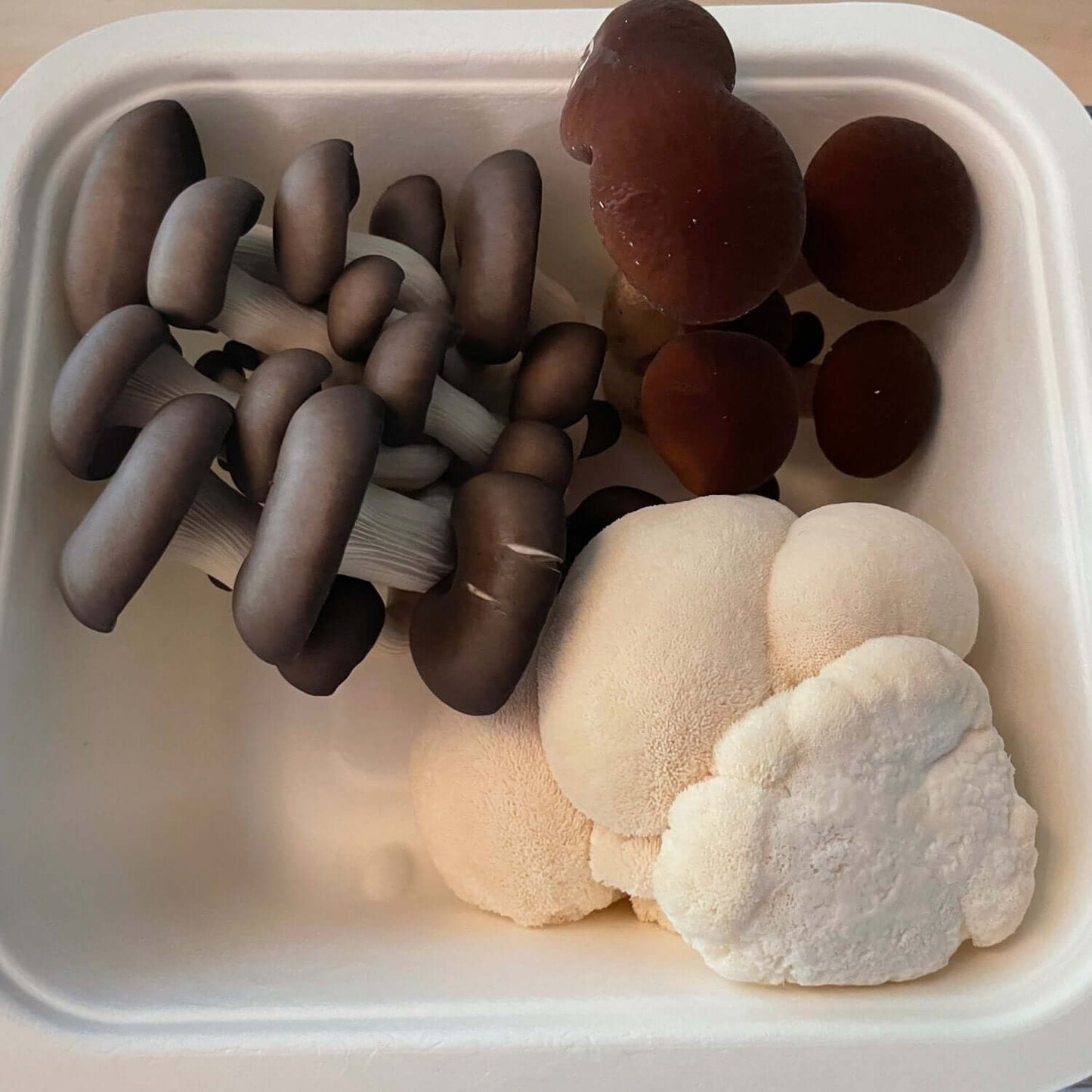 Gourmet Mushroom Medley - Kai Kai Farm