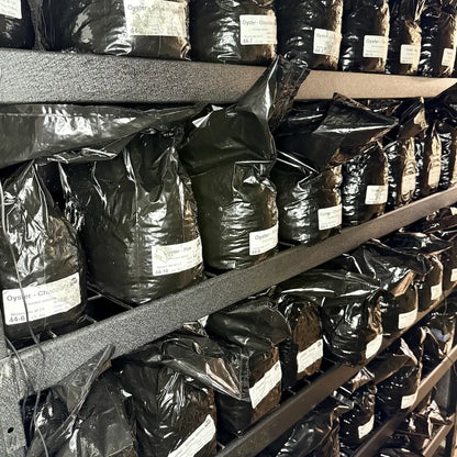 Commerical 2.5KG Grow Blocks Ready To Fruit