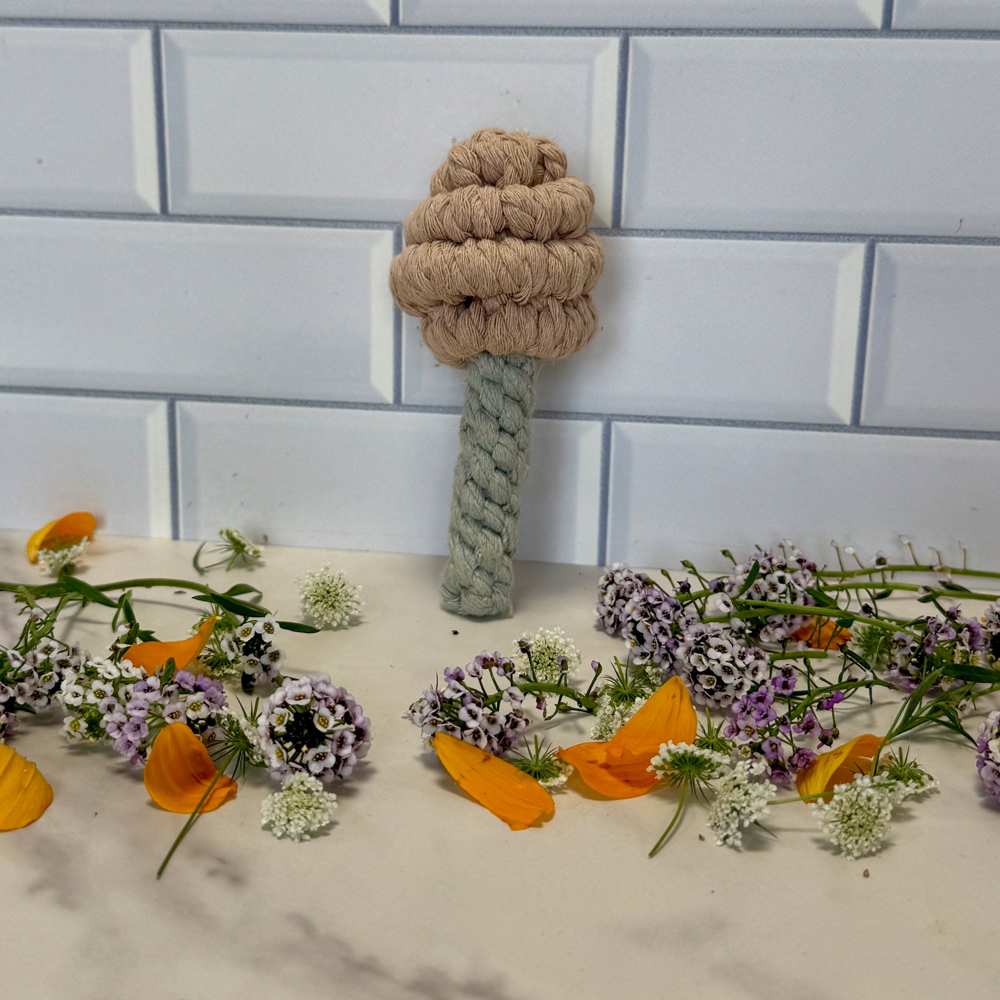 Knotted rope toy on a marble surface with flowers and a tiled wall background
