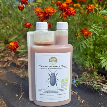 Fermented Insect Frass Extract – Bio-Inoculant & Plant Immunity Booster Kai Kai Farm
