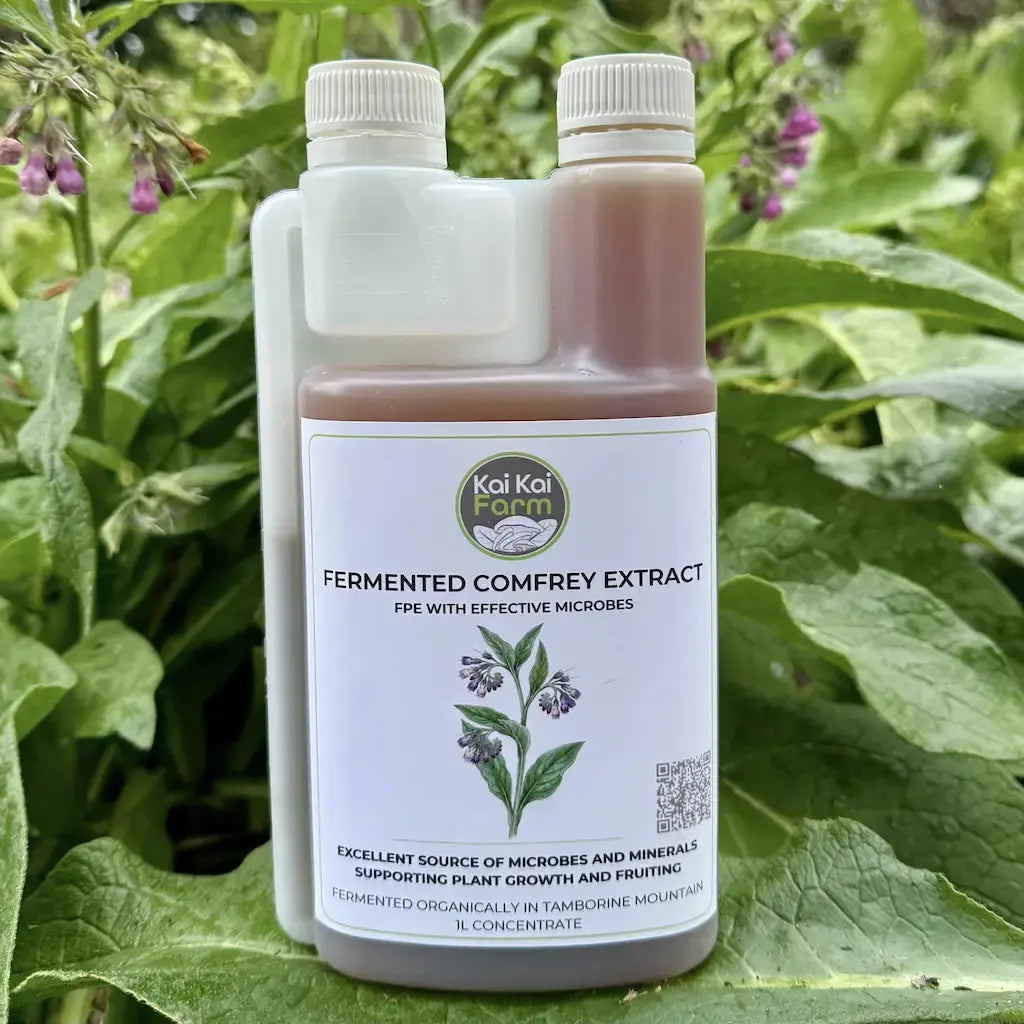 Fermented Organic Comfrey Extract Kai Kai Farm