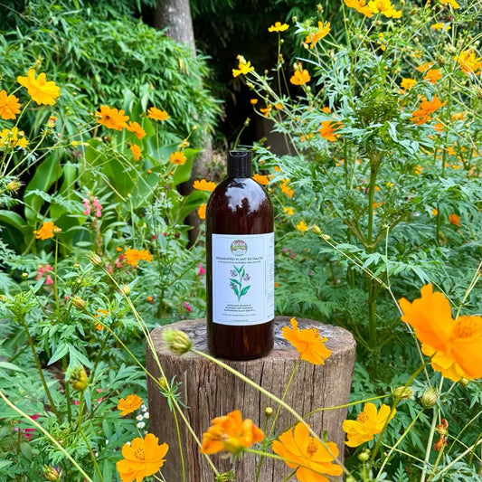 Fermented Plant Extracts with Comfrey Kai Kai Farm