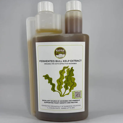 1L Bottle of Concentrated Fermented Organic Bull Kelp Extract (FPE)