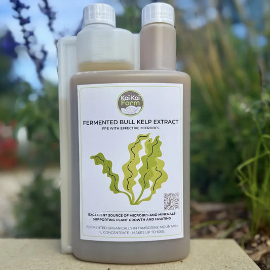 Bottle of Fermented Organic Bull Kelp Extract