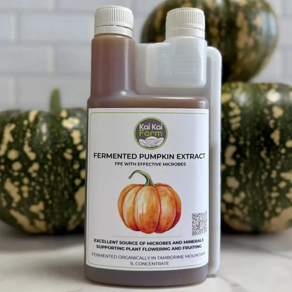 Fermented Organic Pumpkin Extract Kai Kai Farm