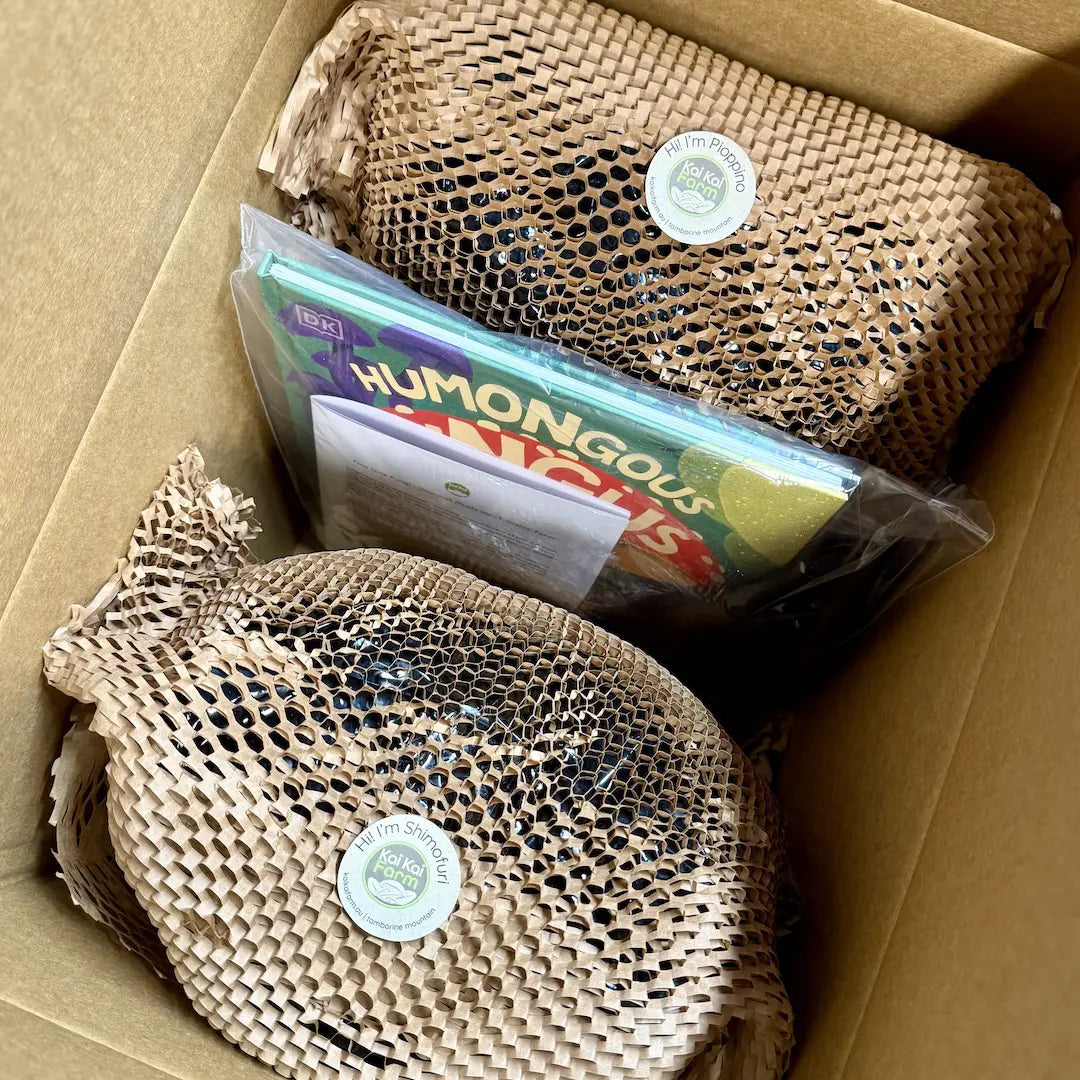 What's in the box for Fine Dine Tabletop Farm