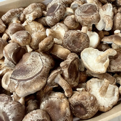 Close up image of fresh organic no spray Shiitake mushrooms