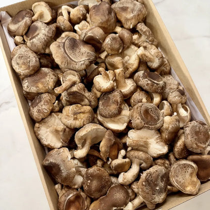 Large box of fresh organic no spray Shiitake mushrooms