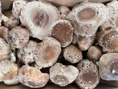 Close up image of fresh Shiitake mushrooms