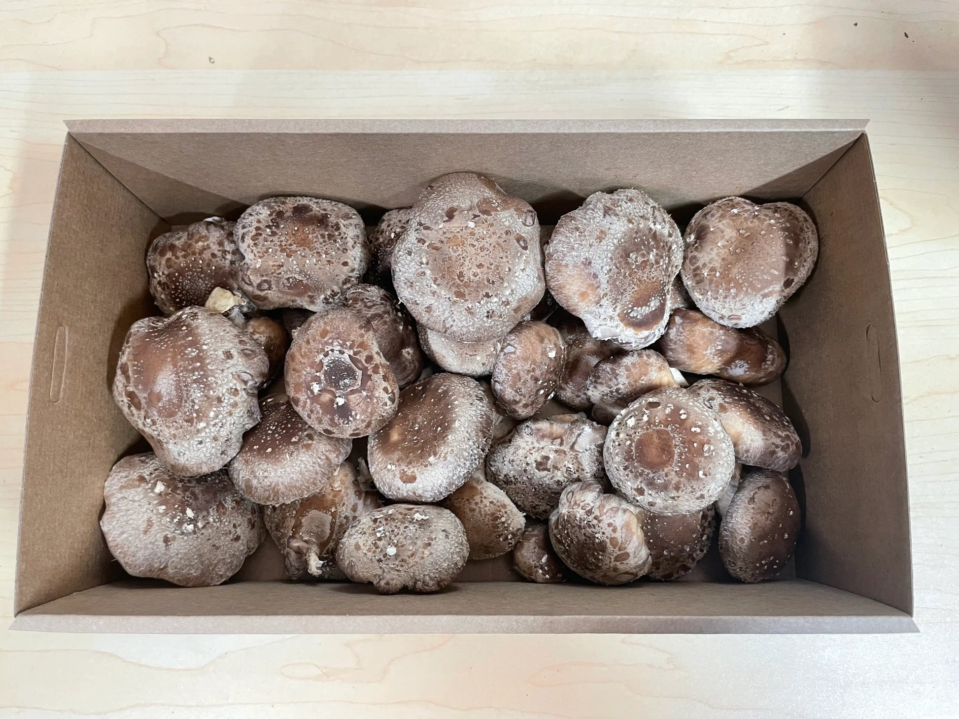 Medium box of fresh Shiitake mushrooms