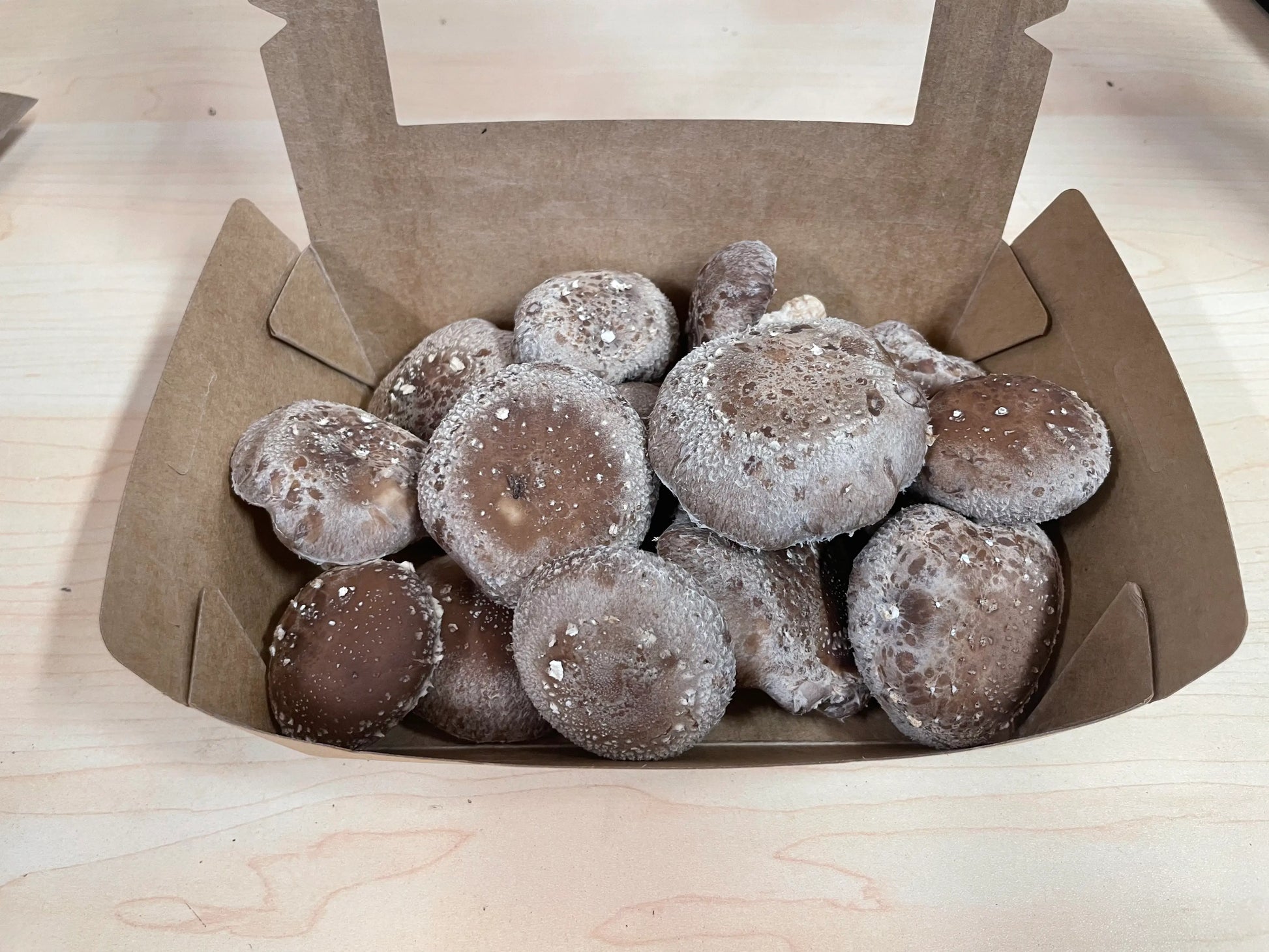 Small box of fresh Shiitake mushrooms