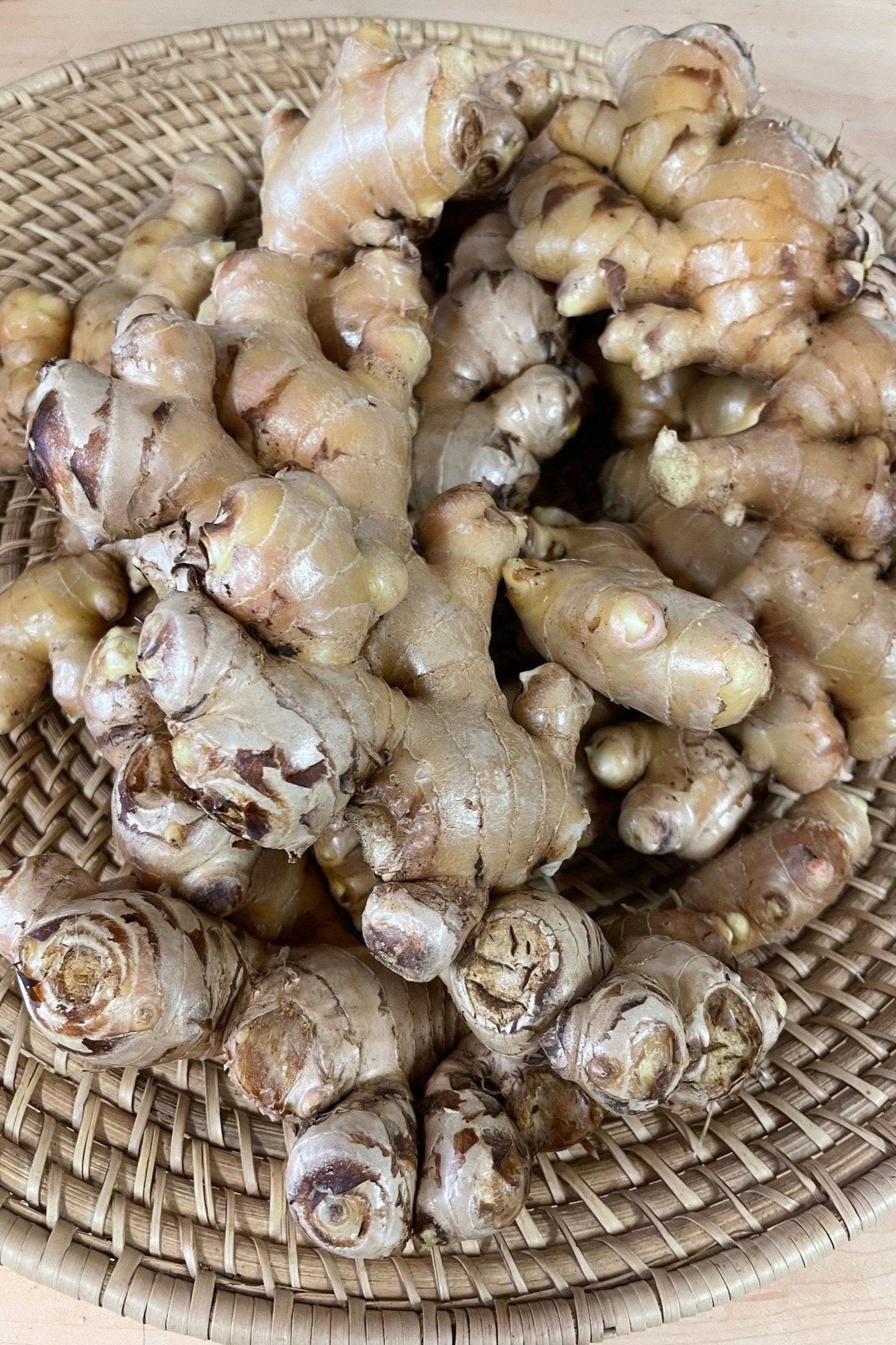 Freshly harvested ginger