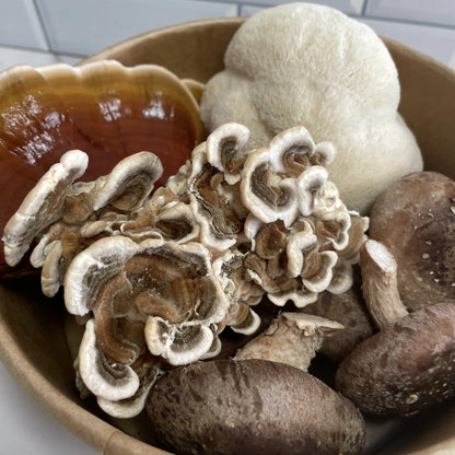 Functional Mushroom Medley Kai Kai Farm