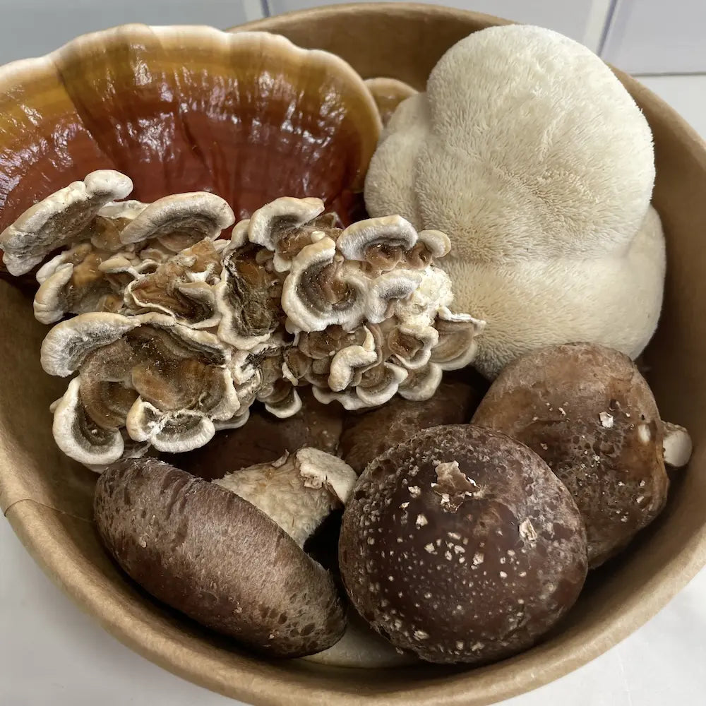 Functional Mushroom Medley Kai Kai Farm