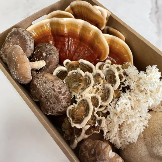 Functional Mushroom Medley Kai Kai Farm
