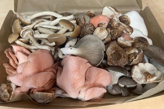 Image of fresh gourmet mushrooms