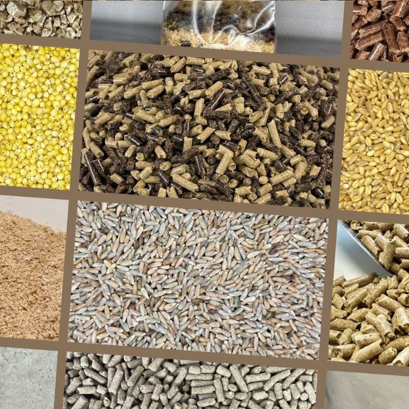 Grain & Bulk Fruiting Substrates