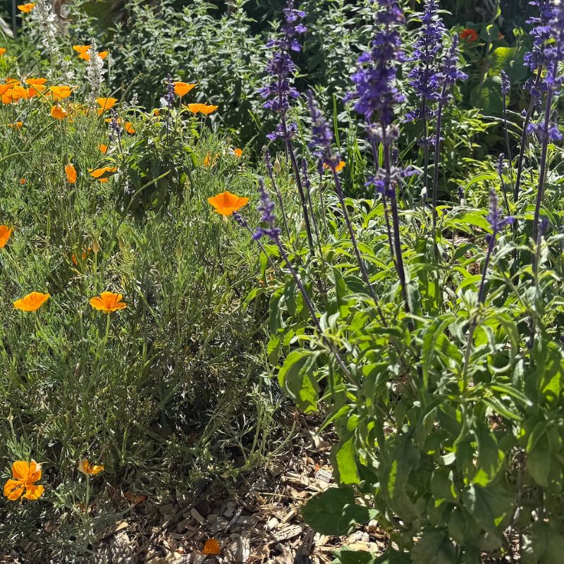 Kai Kai Farm's Home & Garden Collection