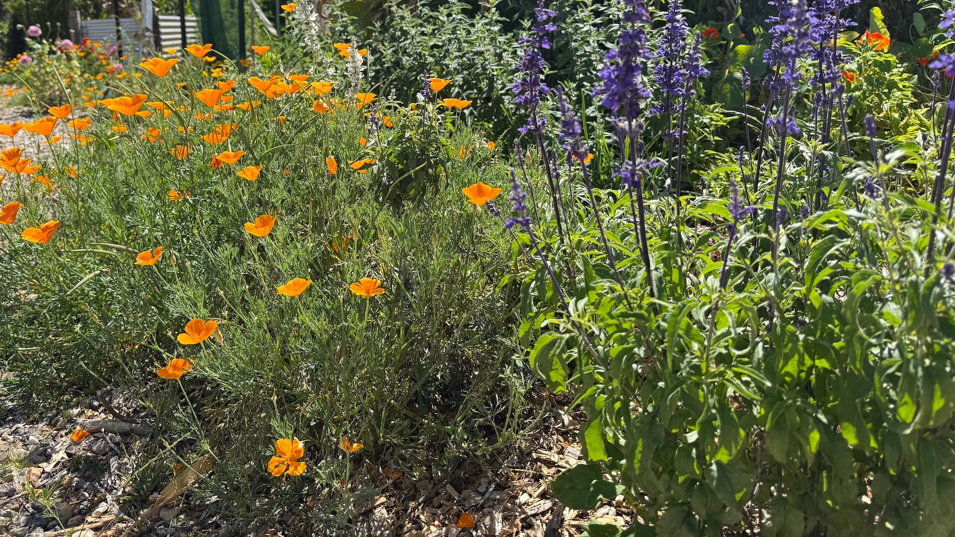 Kai Kai Farm's Home & Garden Collection