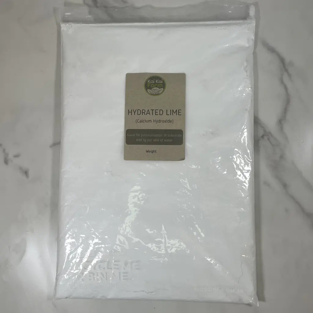 500g bag of hydrated lime (Calcium Hydroxide) with resealable lip