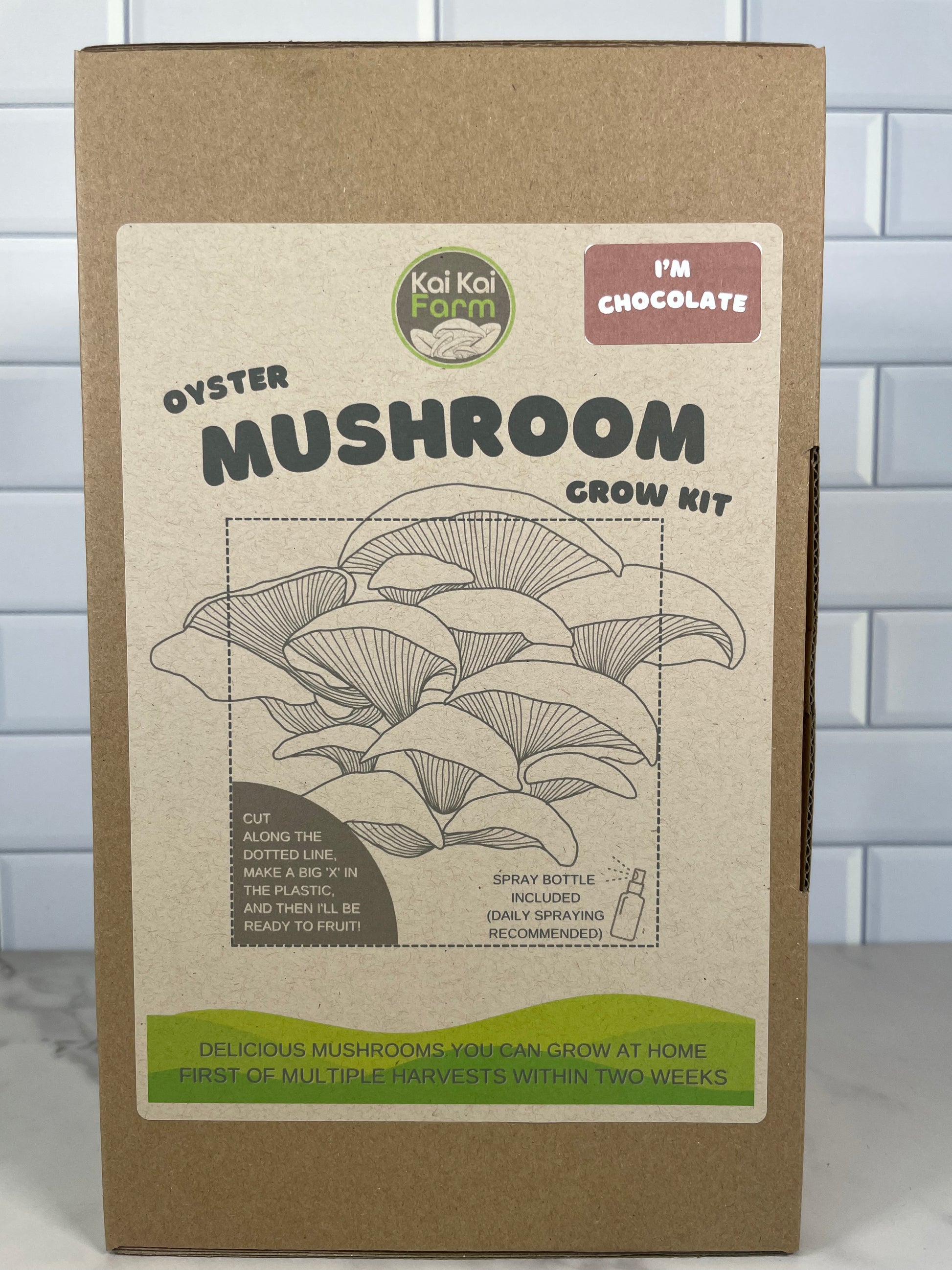 Chocolate Oyster Mushroom Kit - Kai Kai Farm