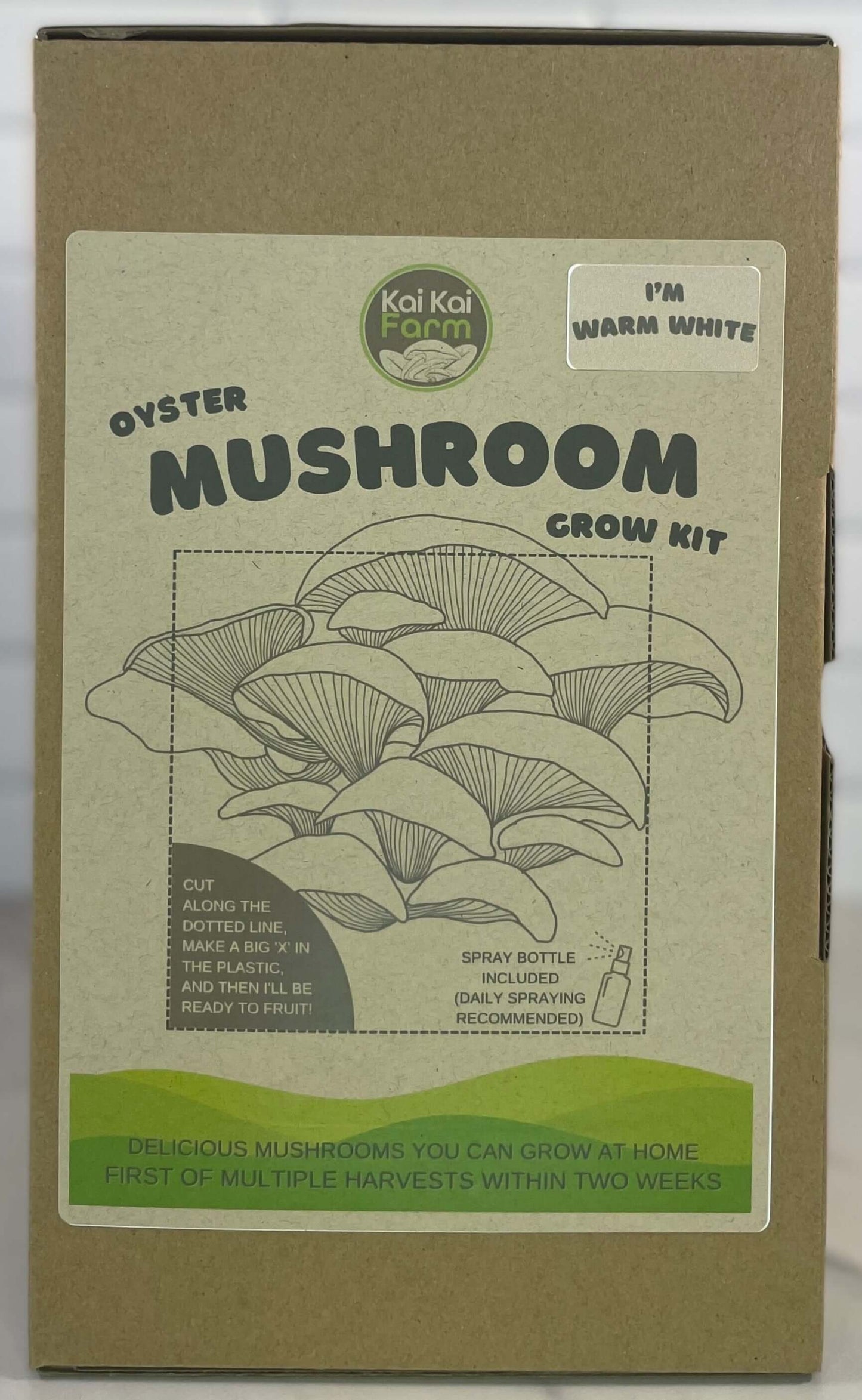 Warm White Oyster Mushroom Kit - Kai Kai Farm