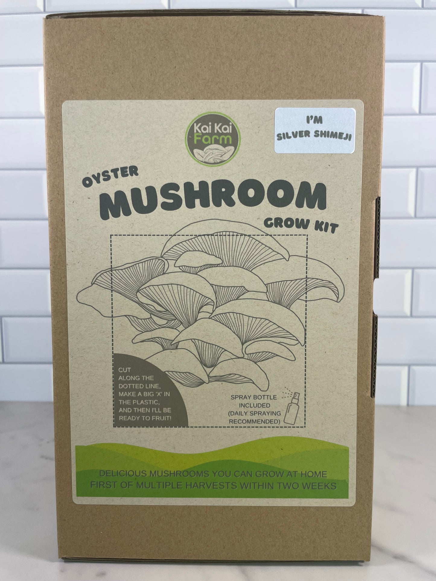 Silver Shimeji Oyster Mushroom Kit - Kai Kai Farm