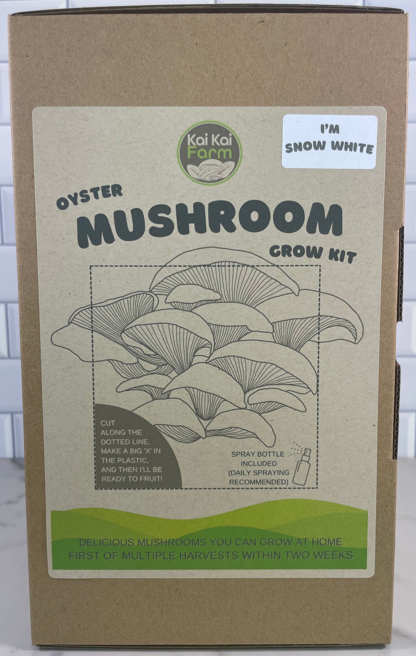 Snow White Oyster Mushroom Kit - Kai Kai Farm