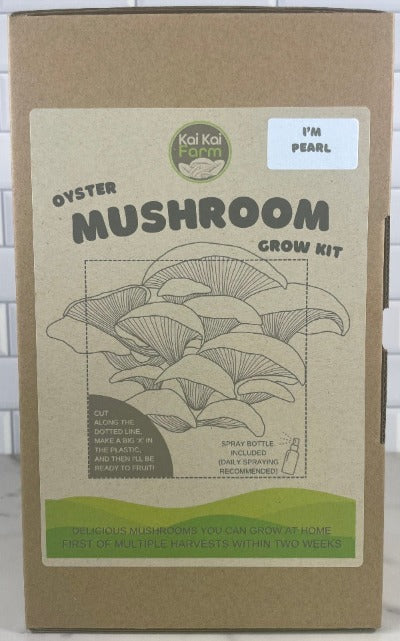 Pearl Oyster Mushroom Kit - Kai Kai Farm