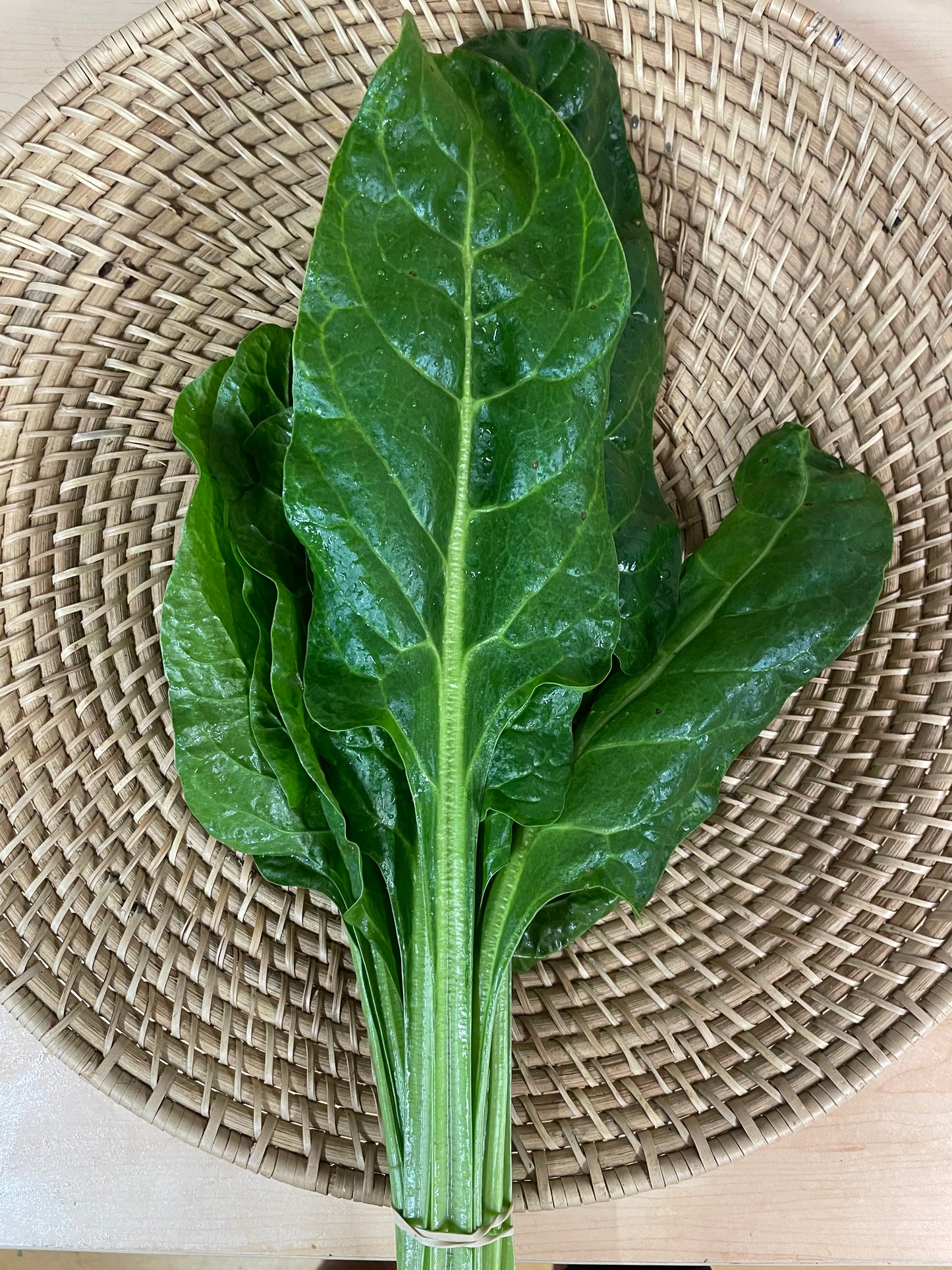 Spinach Perpetual - Organically Grown and No Spray - Kai Kai Farm