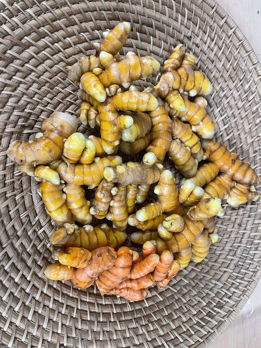 Turmeric - Organic Grown and No Spray - Kai Kai Farm