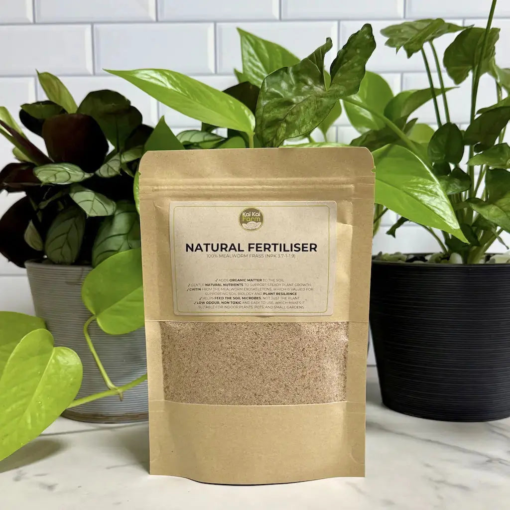 Indoor Plant Care Kit Kai Kai Farm