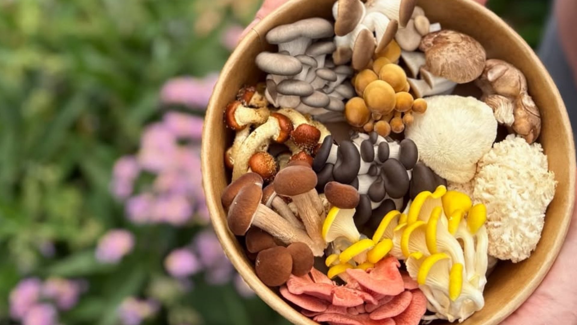 Organic No Spray Gourmet & Functional Mushrooms, Mushroom Kits, Bokashi & Fermented Plant Extracts