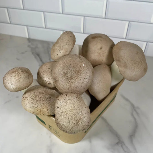 King Oyster Mushrooms