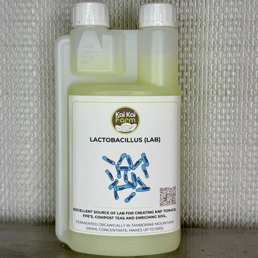 Lactic Acid Bacteria (LAB) Serum Kai Kai Farm